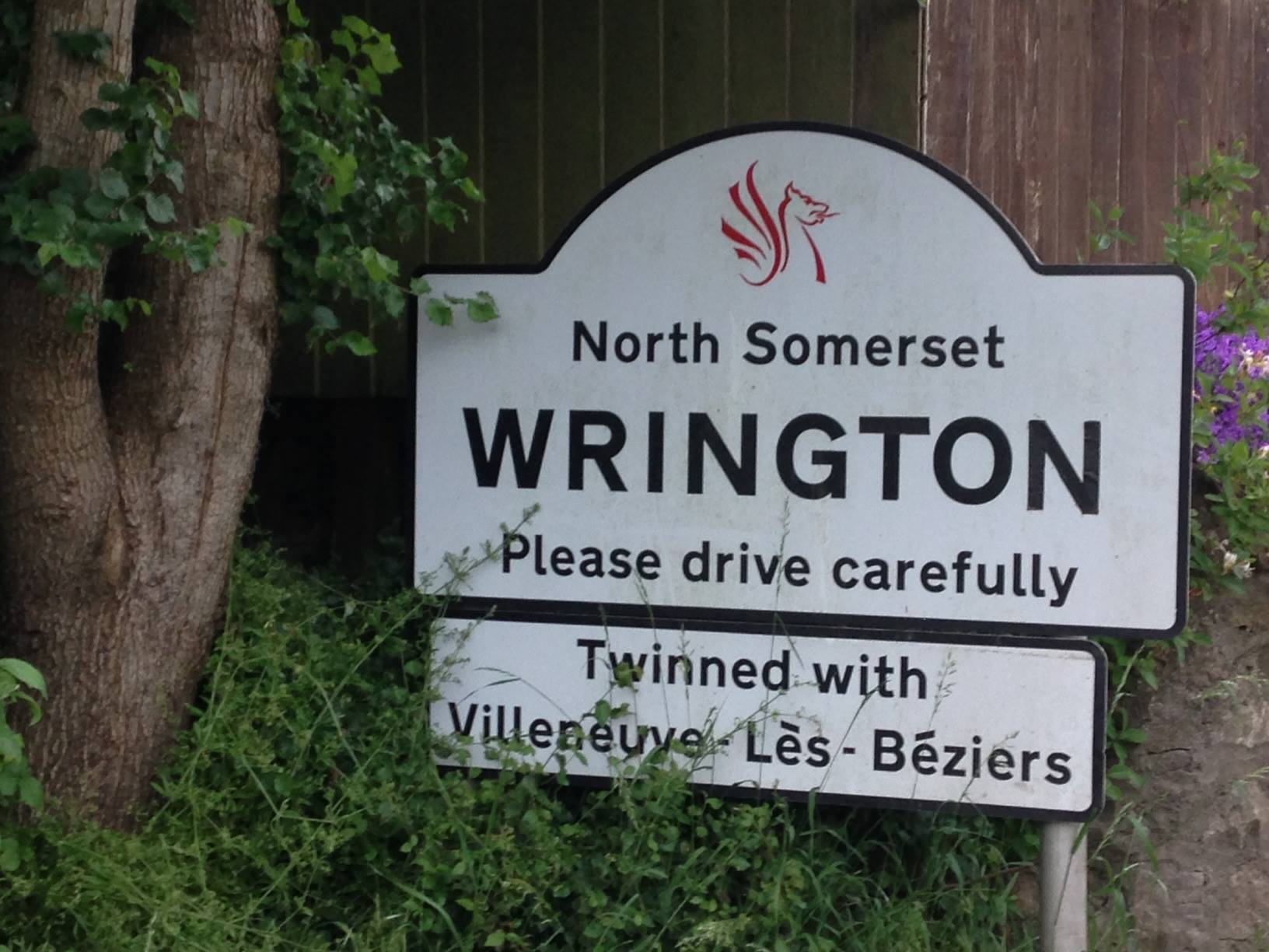 Wrington’s intriguing curiosities feature in new booklet Childrens